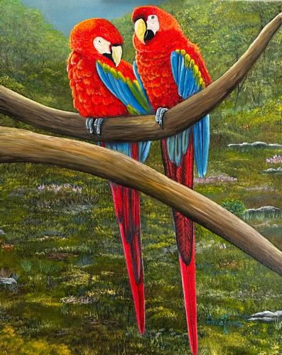 Red Macaw